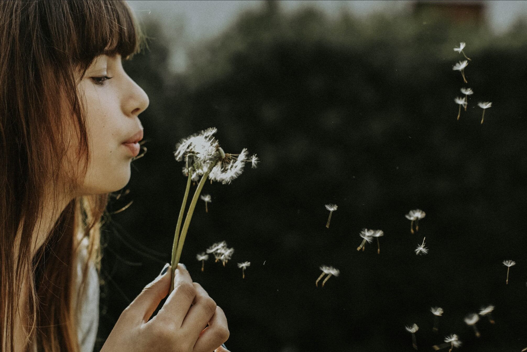 Mindfulness in de natuur. Ervaar de Japanse mindfulness trend van het bosbaden: shinrin-yoku 