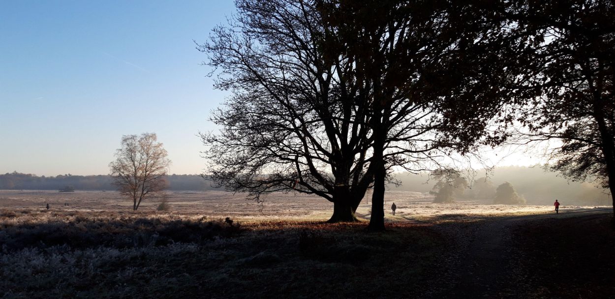 Wat is mindfulness? Mindfulness als aandachtstraining bij stress