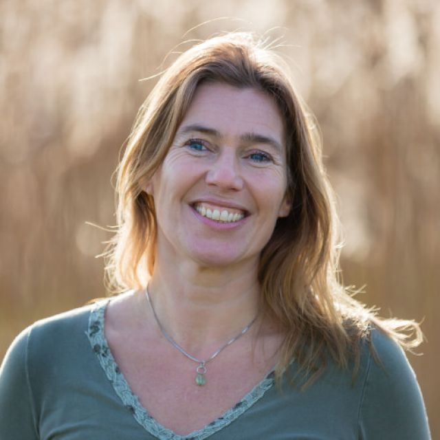 Mindfulness trainingen Alkmaar, Amsterdam Meike van Tilburg